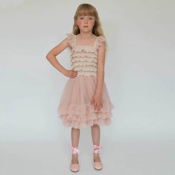 Angel's Face Girls Ballroom Lace Tulle Dress in Blush Pink